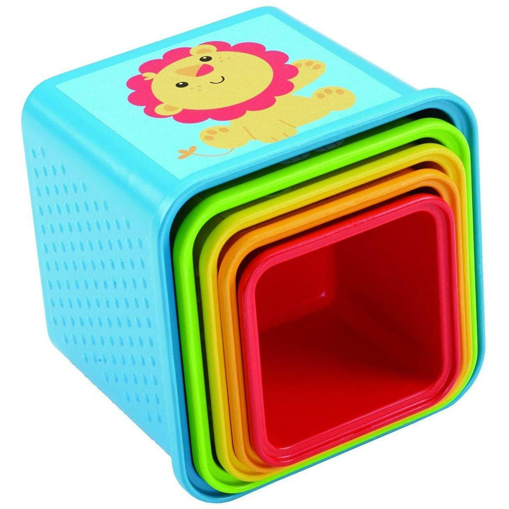 Fisher-Price Stack & Explore Blocks