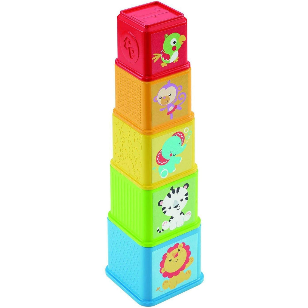 Fisher-Price Stack & Explore Blocks