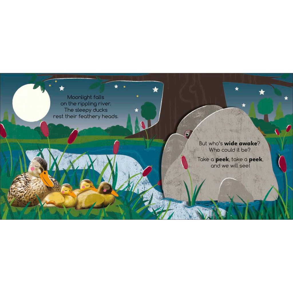 Flip Flap Find! Night-time Animals