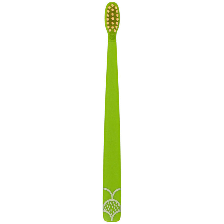 Flipper Fun Animal Turtle Toothbrush Cover & Toothbrush Combo Pack Multicolor Age- 3 Years & Above