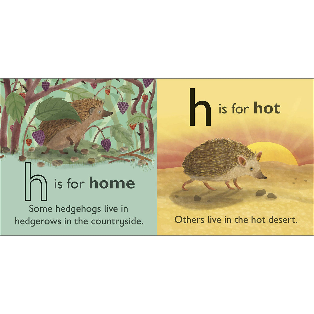 H is for Hedgehog Board book