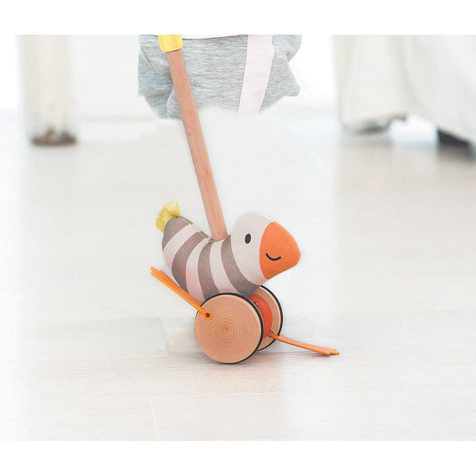 Push pull toy age hot sale
