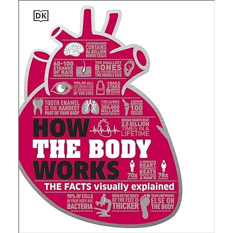 How The Body Works by DK Publishings