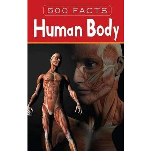 Human Body - 500 Facts