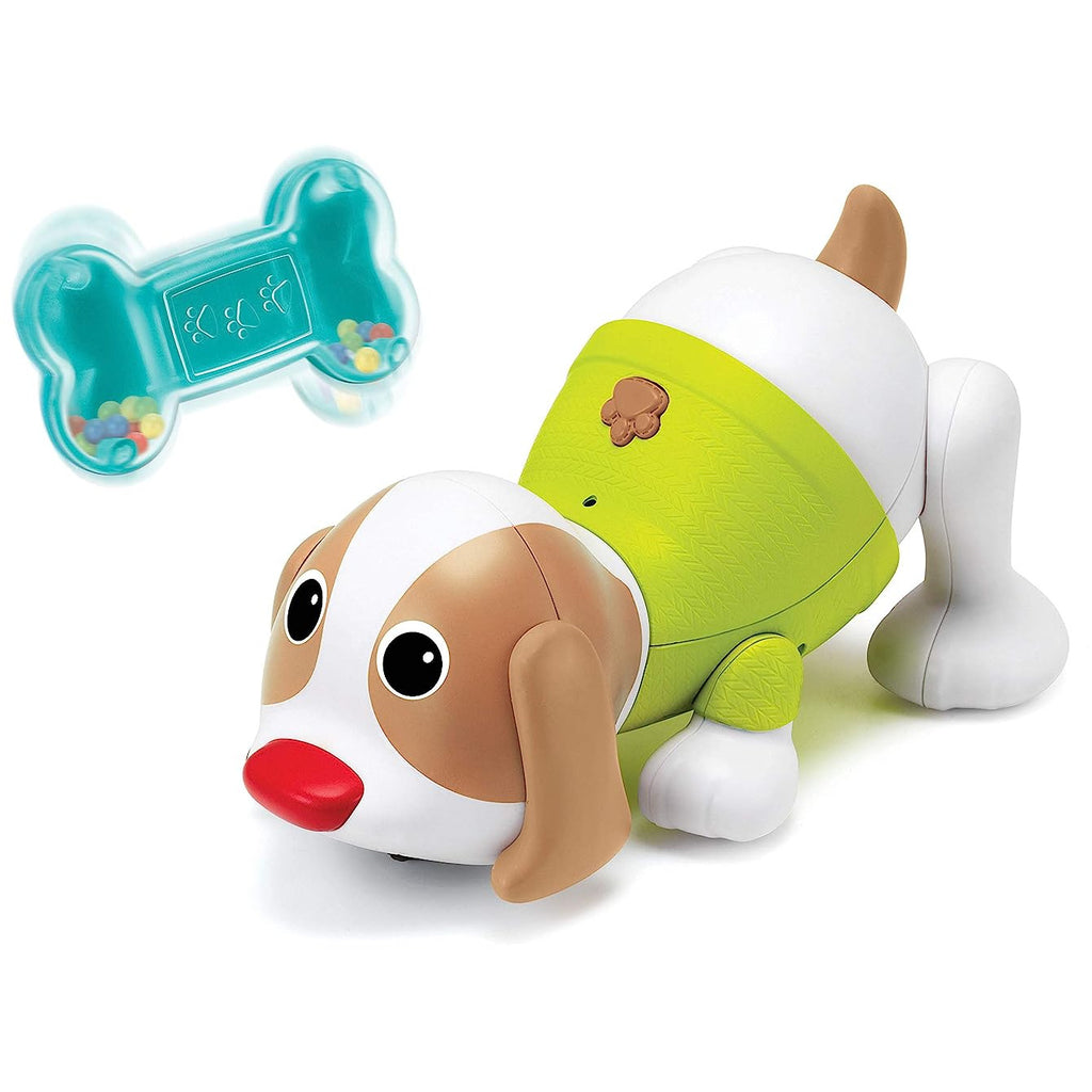 Infantino Shake'N Dance Puppy Multicolor Age- 6 Months & Above