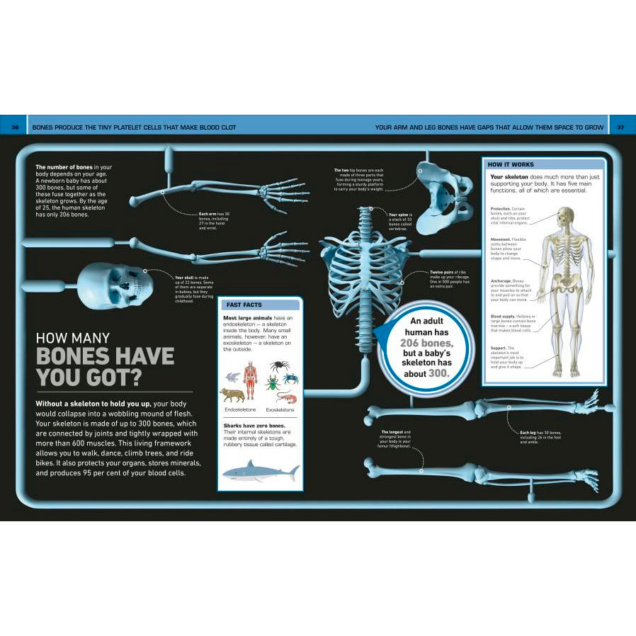 It Can't Be True! Human Body!