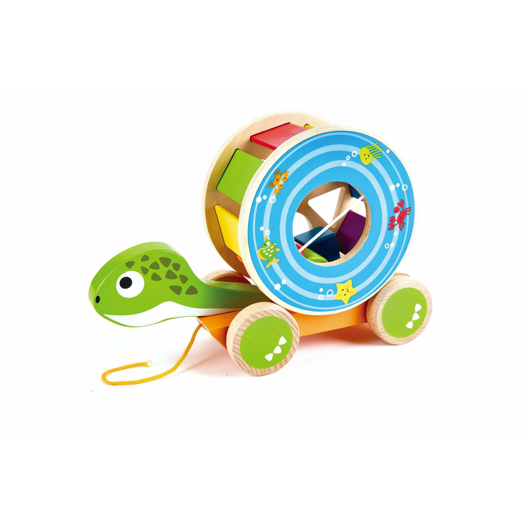 JAdore Pull Along Turtle Multicolor Age-12 Months & Above