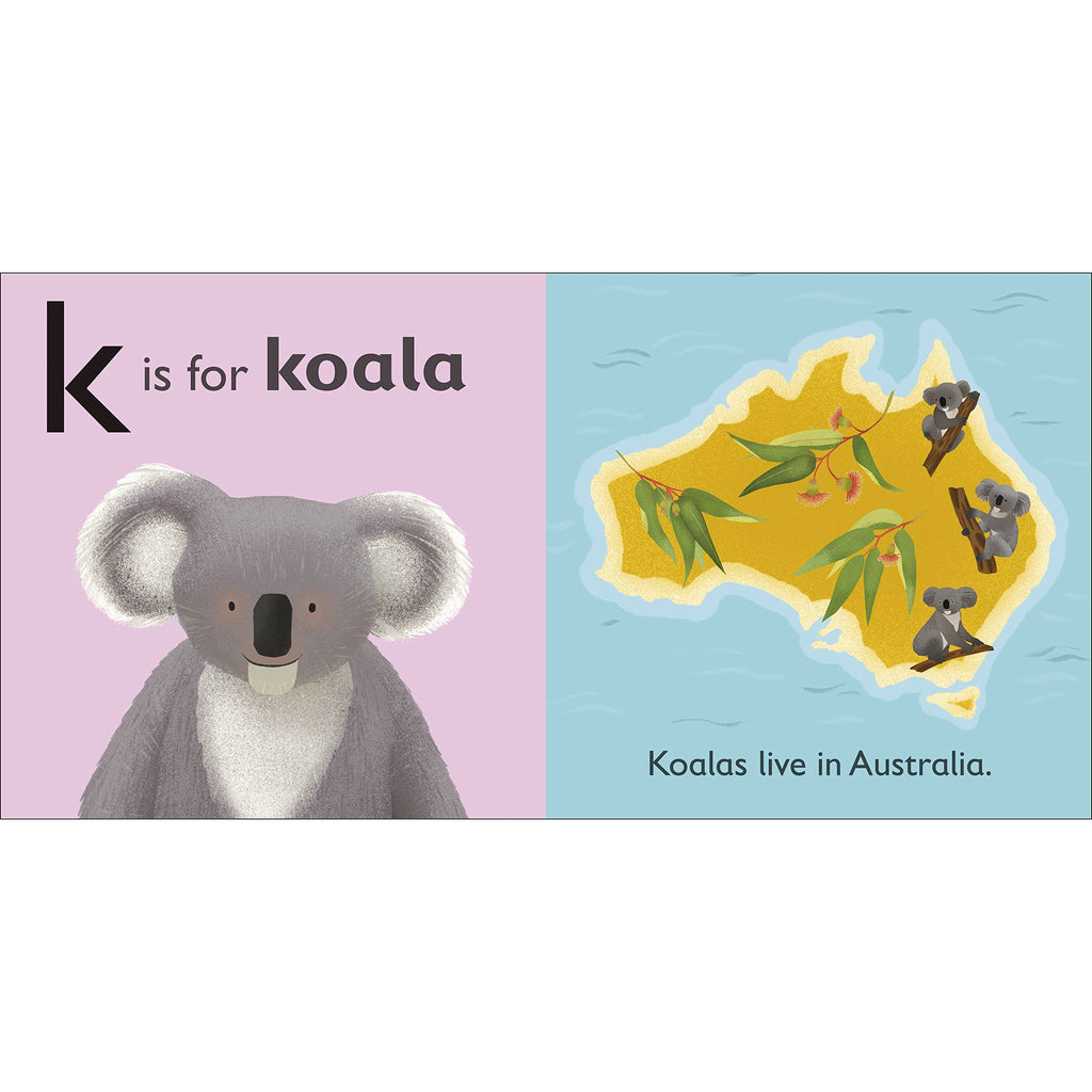 K is for Koala Board book
