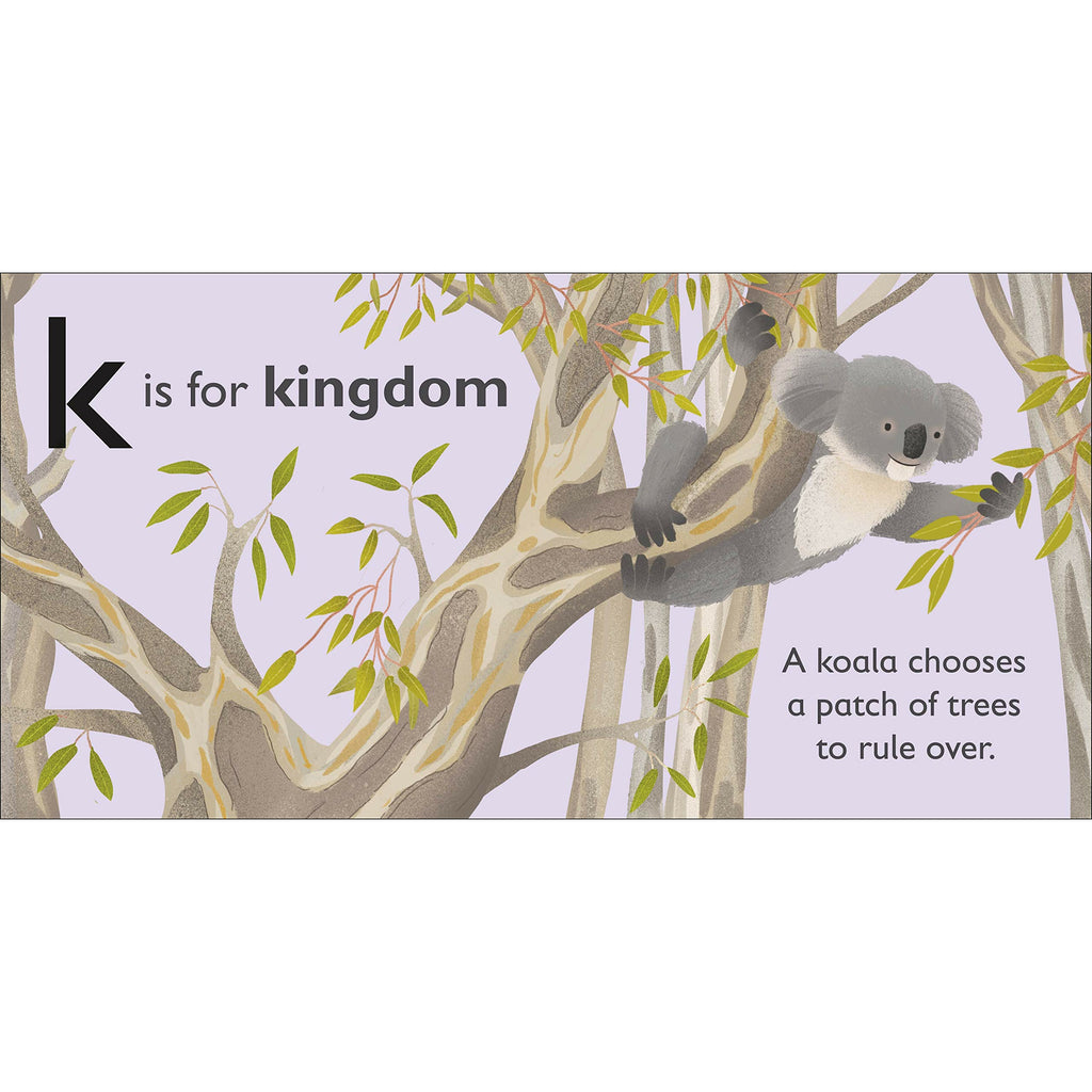 K is for Koala Board book