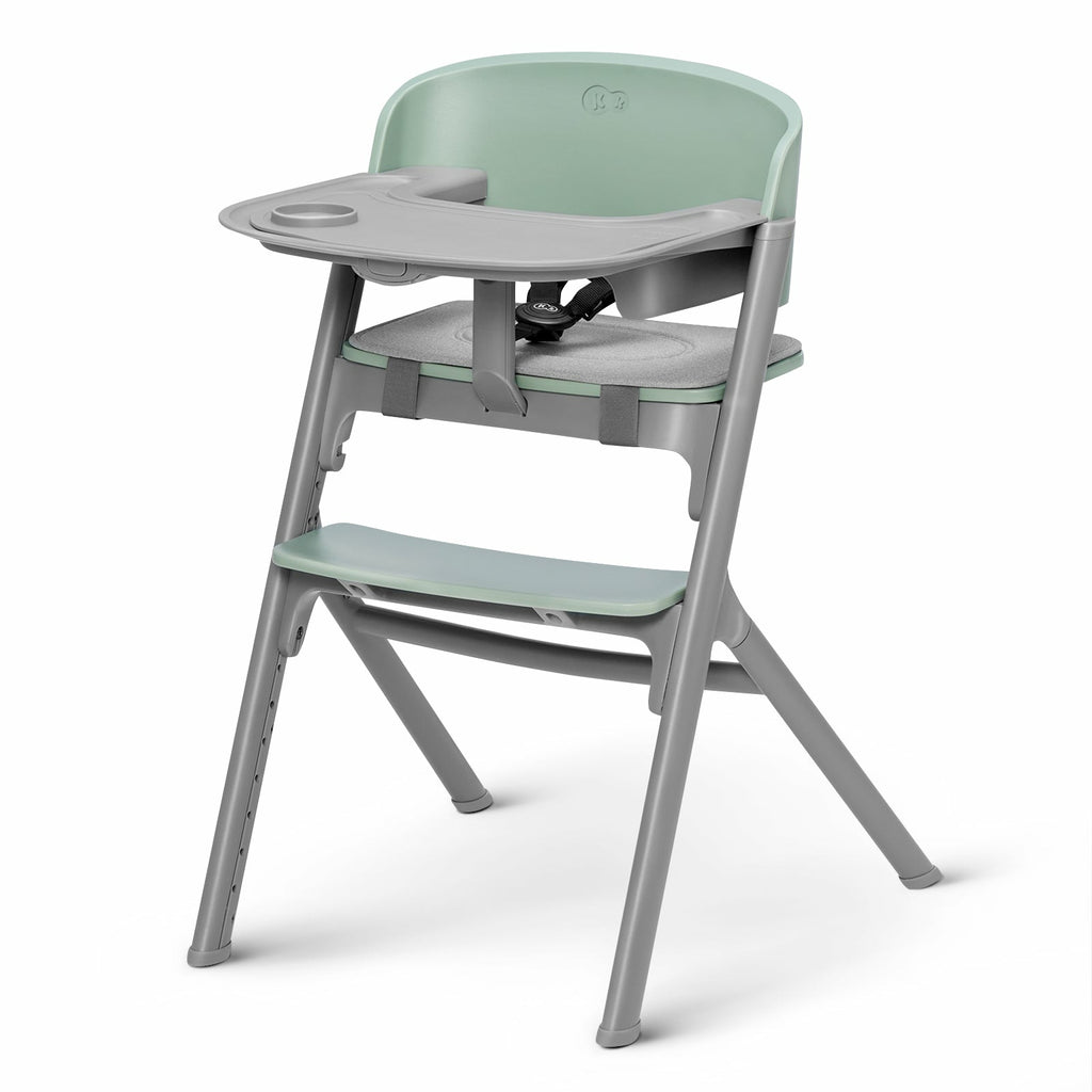 Kinderkraft Livy 3-In-1 Feeding Chair Olive Green Age- 6 Months & Above (Holds upto 110 Kgs)