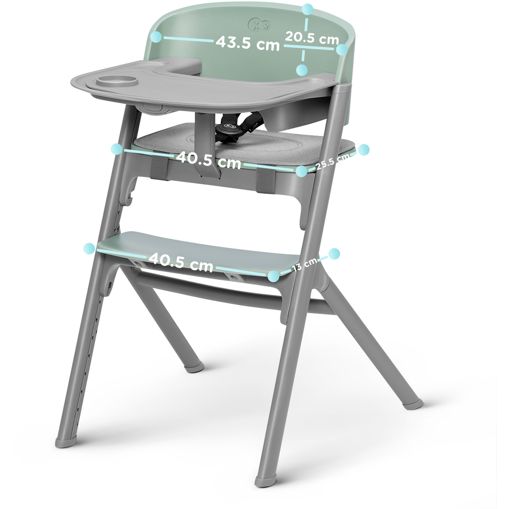 Kinderkraft Livy 3-In-1 Feeding Chair Olive Green Age- 6 Months & Above (Holds upto 110 Kgs)