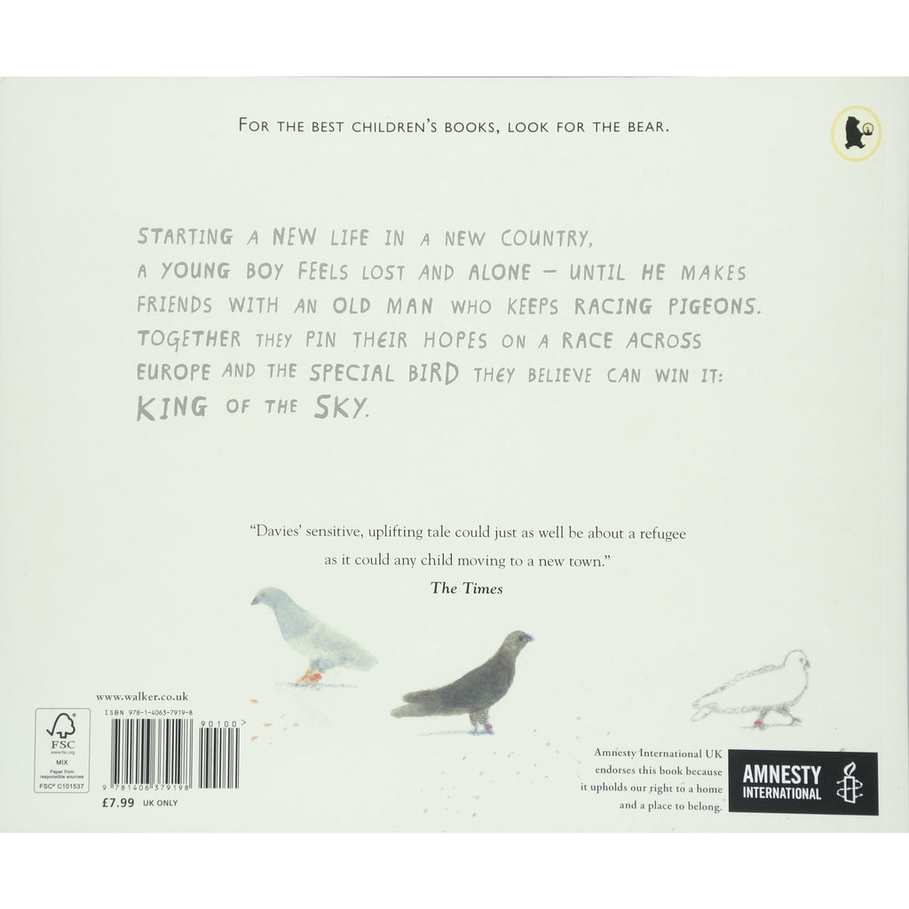 King Of The Sky Paperback
