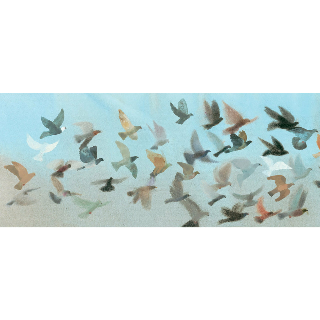 King Of The Sky Paperback
