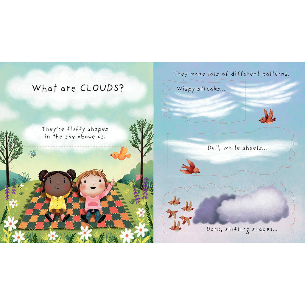Lift-the-flap Very First Questions and Answers What are clouds? by Katie Daynes