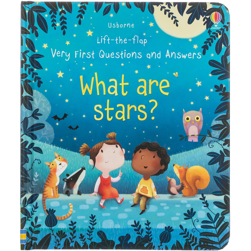 Lift-the-flap Very First Questions and Answers What are stars? by Katie Daynes