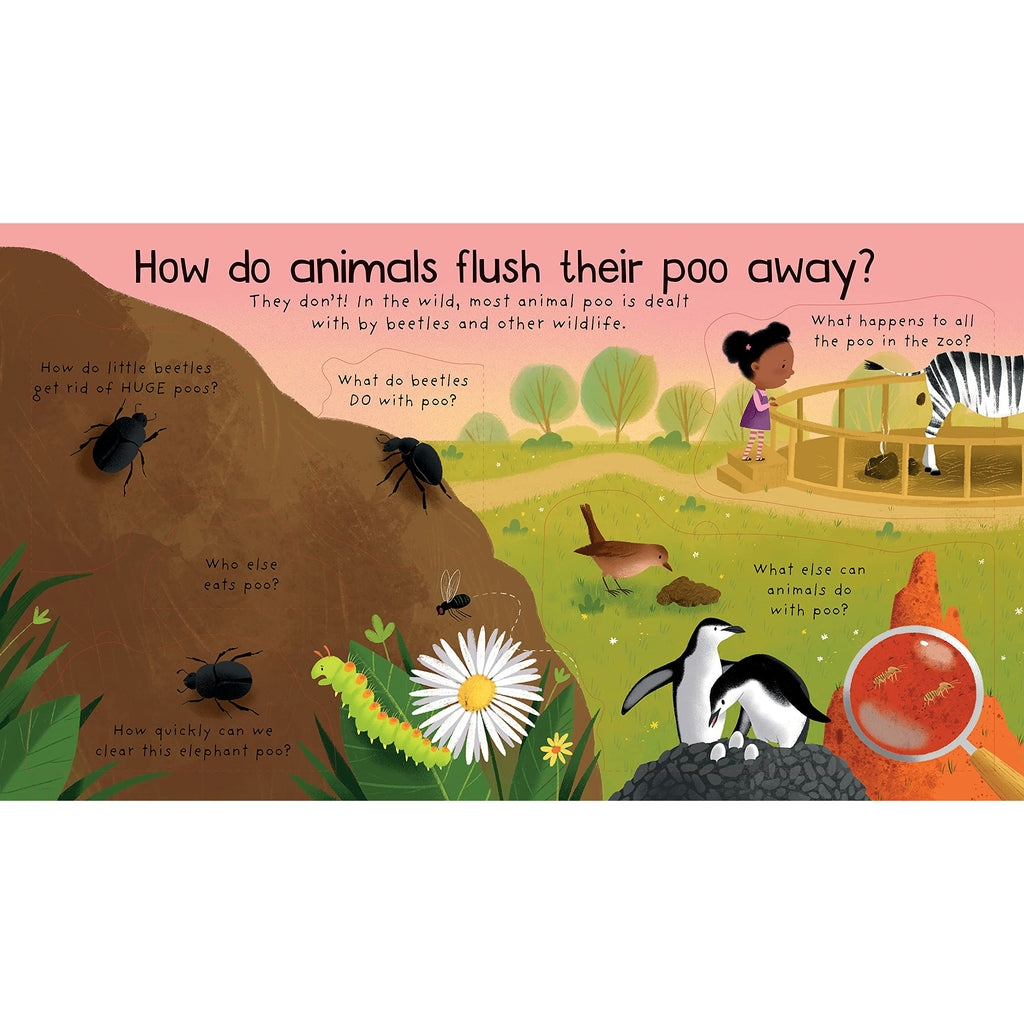 Lift-the-flap Very First Questions and Answers Where Does Poo Go? by Katie Daynes