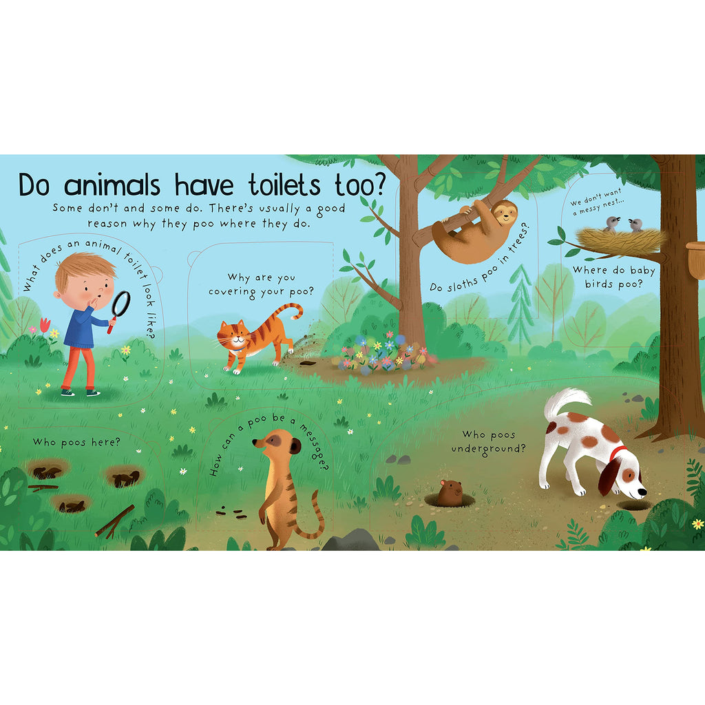 Lift-the-flap Very First Questions and Answers Where Does Poo Go? by Katie Daynes