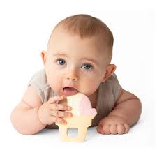 Little Toader Neapolitan Dynamite Teether 0M+