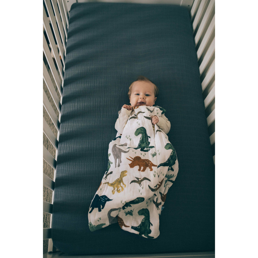 Little Unicorn Cotton Muslin Sleep Bag Large - Dino Friends Age-12 Months to 18 Months (Holds weight from 9Kg- 12Kg)