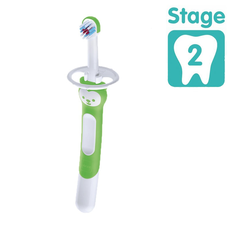 MAM Stage 2 Training Brush With Safety Shield Assorted Age- 5 Months & Above