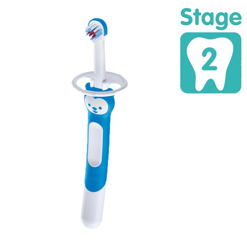 MAM Stage 2 Training Brush With Safety Shield Assorted Age- 5 Months & Above