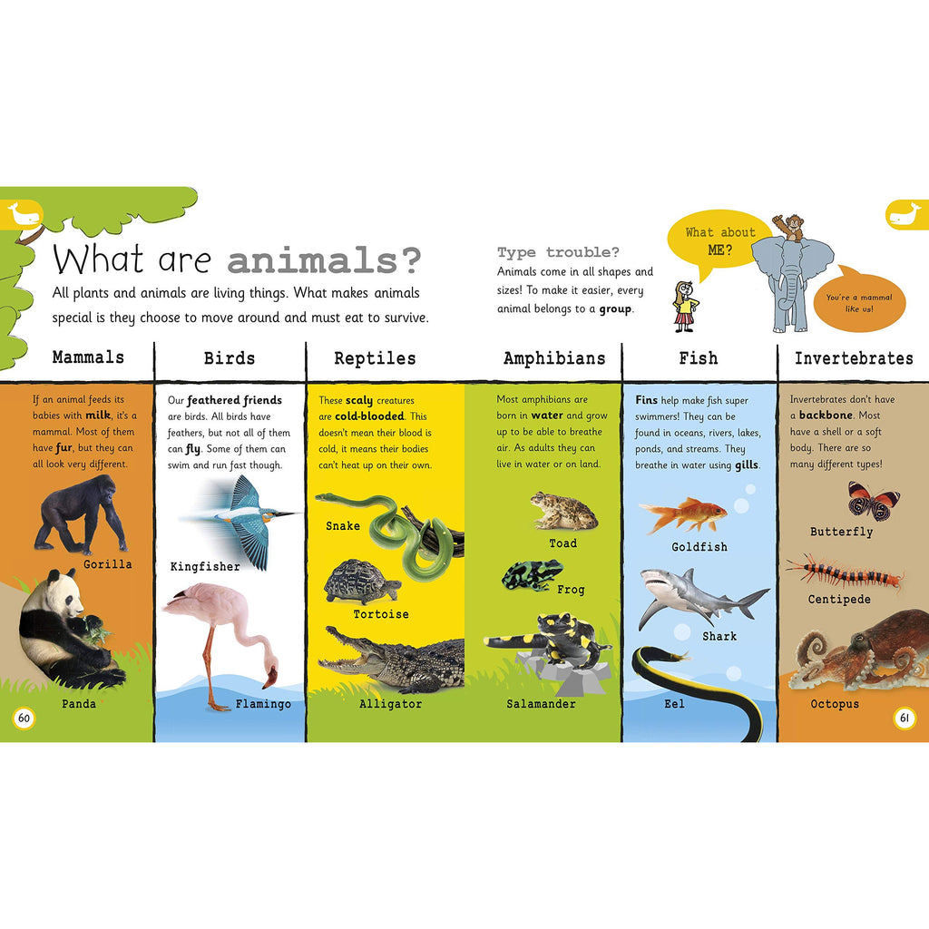 My Encyclopedia of Very Important Things : For Little Learners Who Want to Know Everything