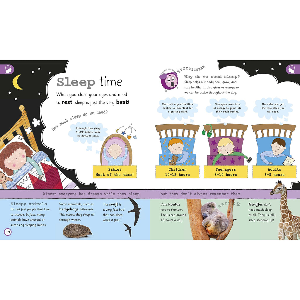 My Encyclopedia of Very Important Things : For Little Learners Who Want to Know Everything
