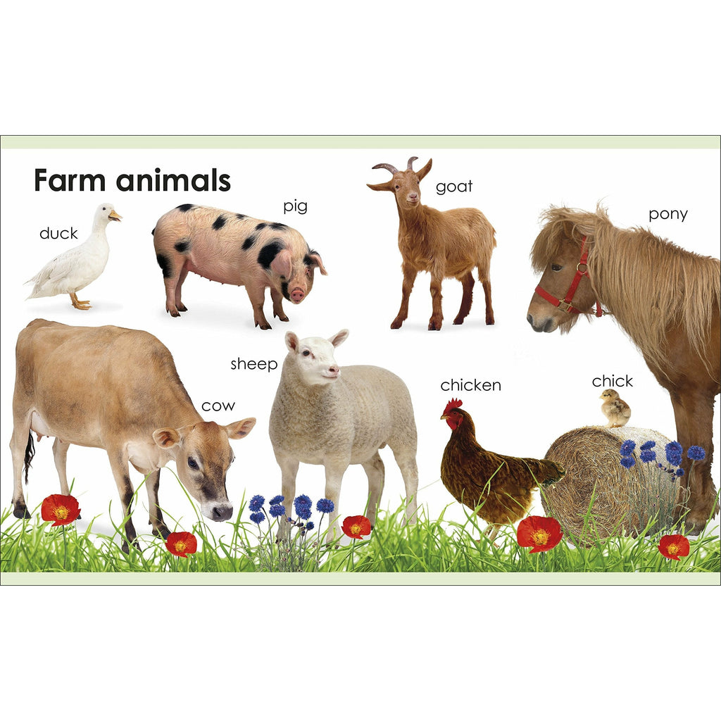 My First Animals