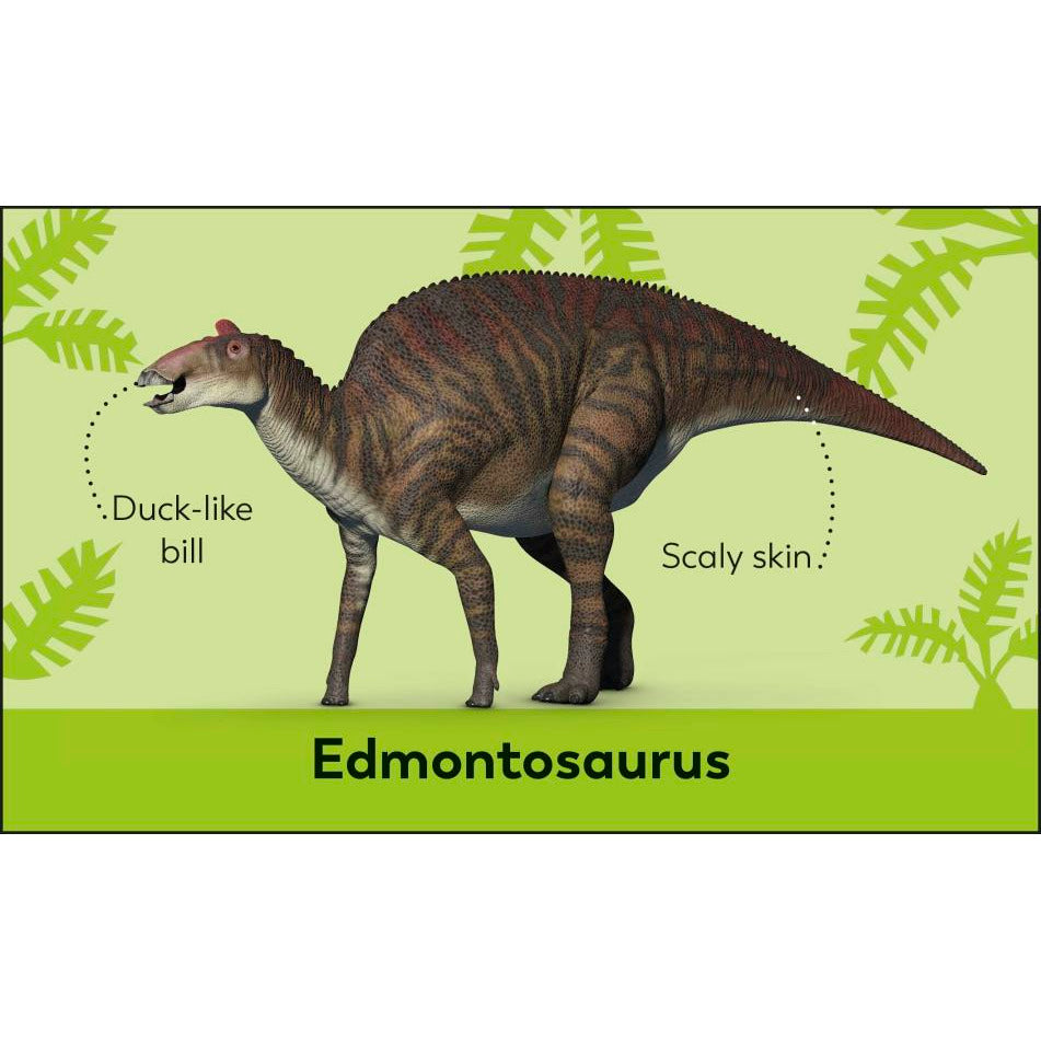 My First Dinosaur Flash Cards
