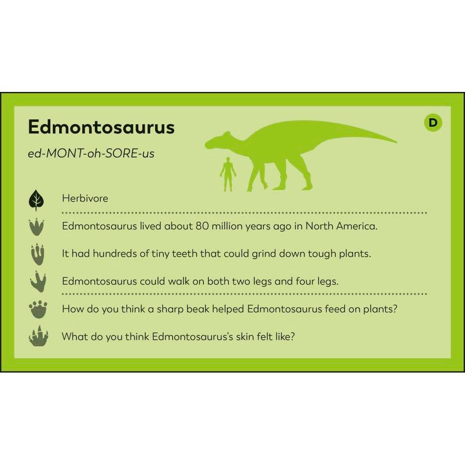 My First Dinosaur Flash Cards
