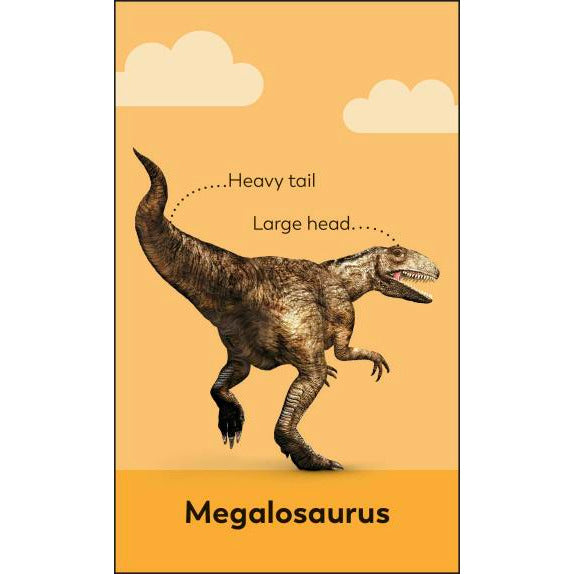 My First Dinosaur Flash Cards