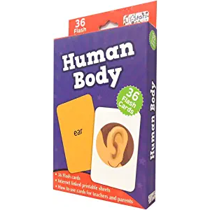 My First Flash Cards - Human Body