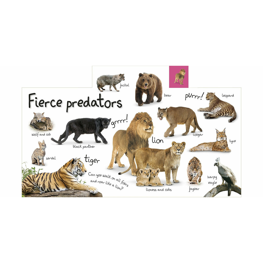 My First Zoo Let's Meet the Animals!