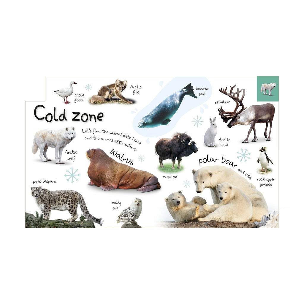My First Zoo Let's Meet the Animals!