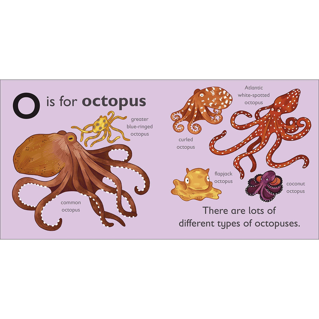 O is for Octopus Board book