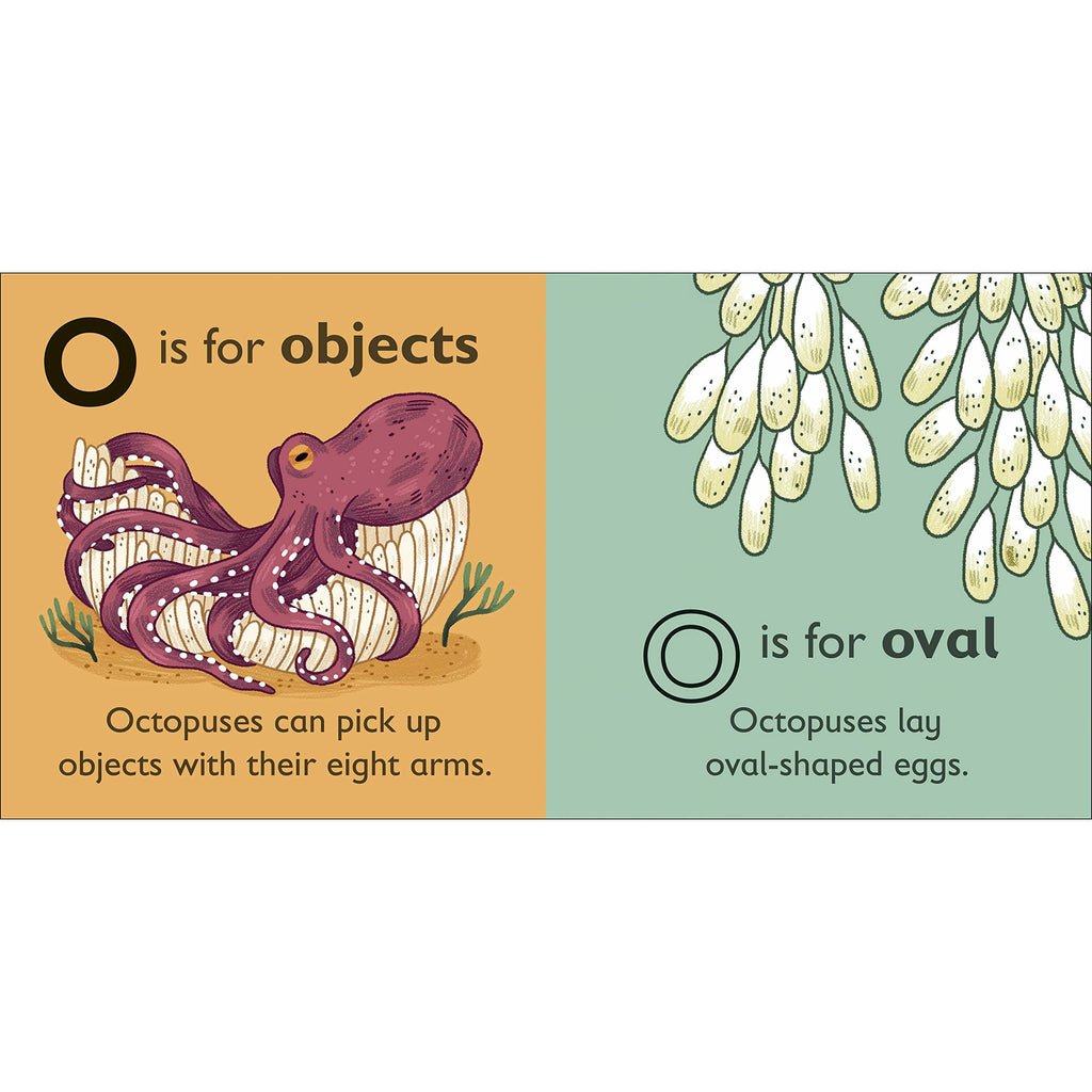 O is for Octopus Board book