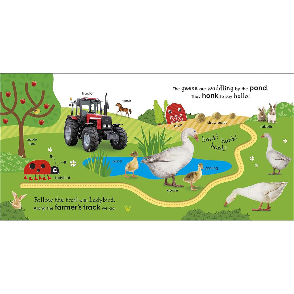 On The Farm With A Ladybird: With Fun Trails To Follow And First Words Board Book