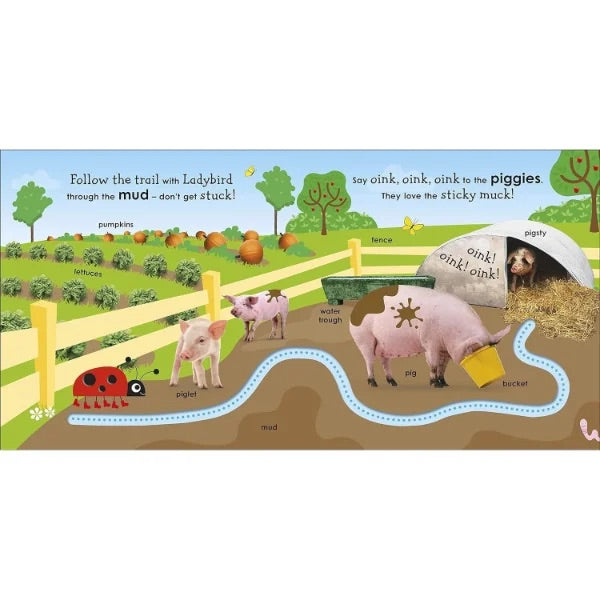 On The Farm With A Ladybird: With Fun Trails To Follow And First Words Board Book