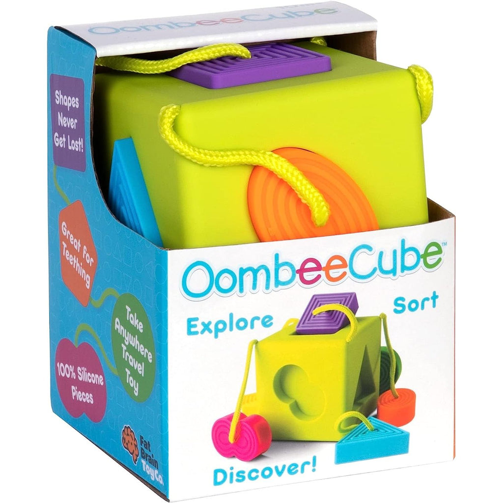 Oombeecube Multicolor Age  10 Months & Above