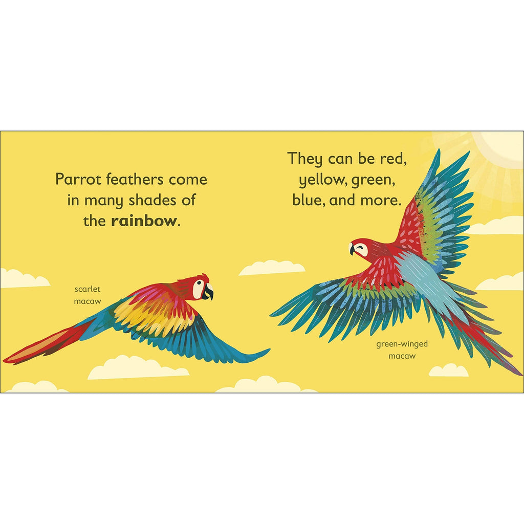 P is for Parrot Board book