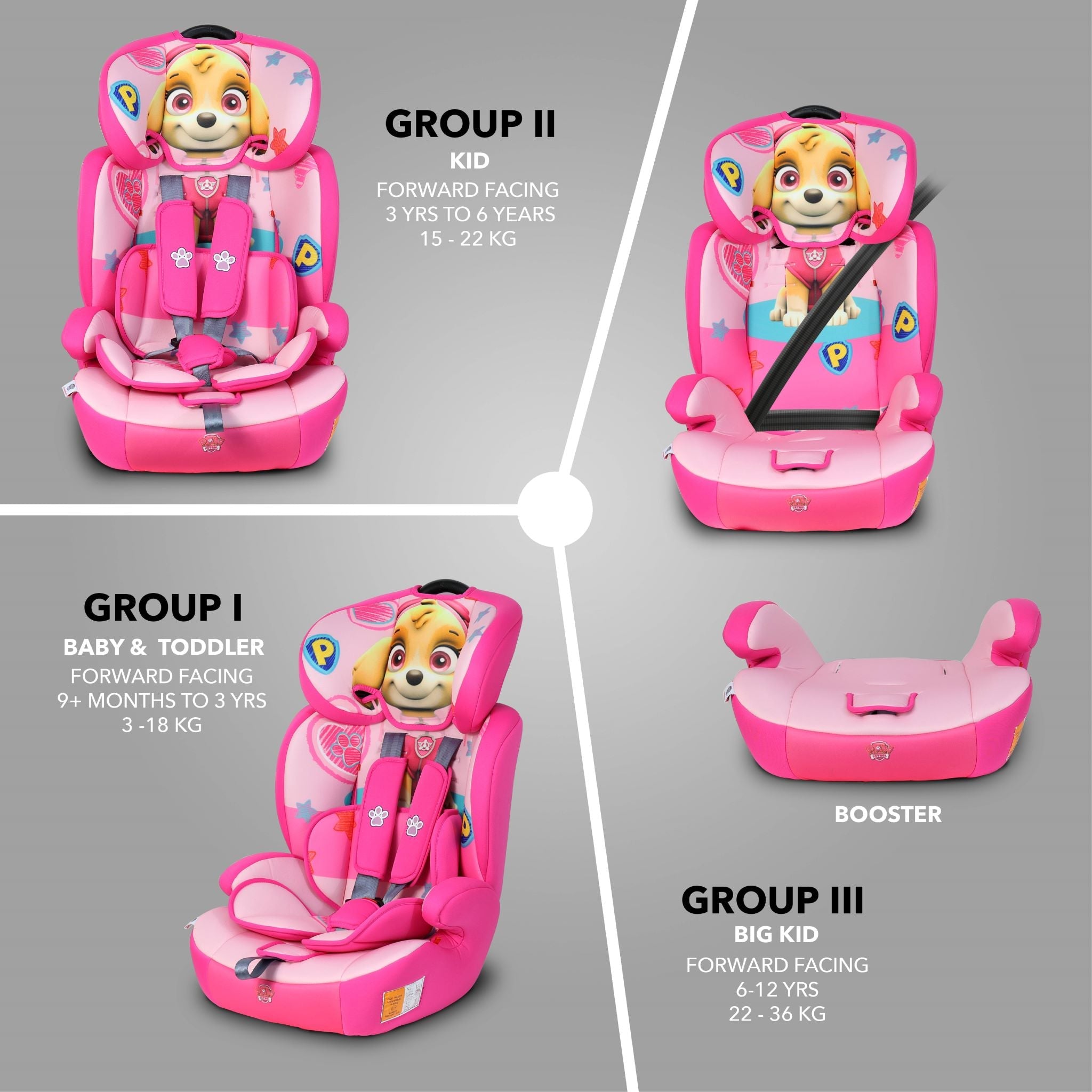 Paw patrol infant deals car seat