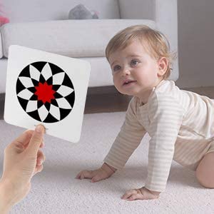 Pibi Baby Visual Stimulus Cards Multicolor Age- 6-12 Months
