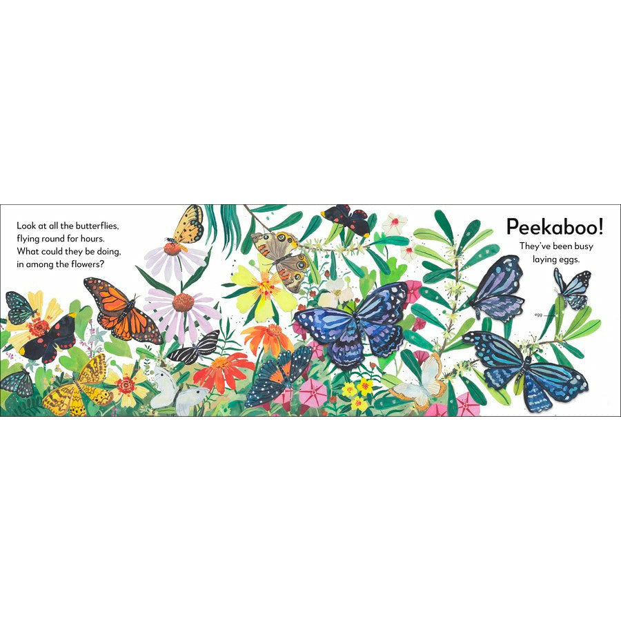 Pop-Up Peekaboo! Butterfly