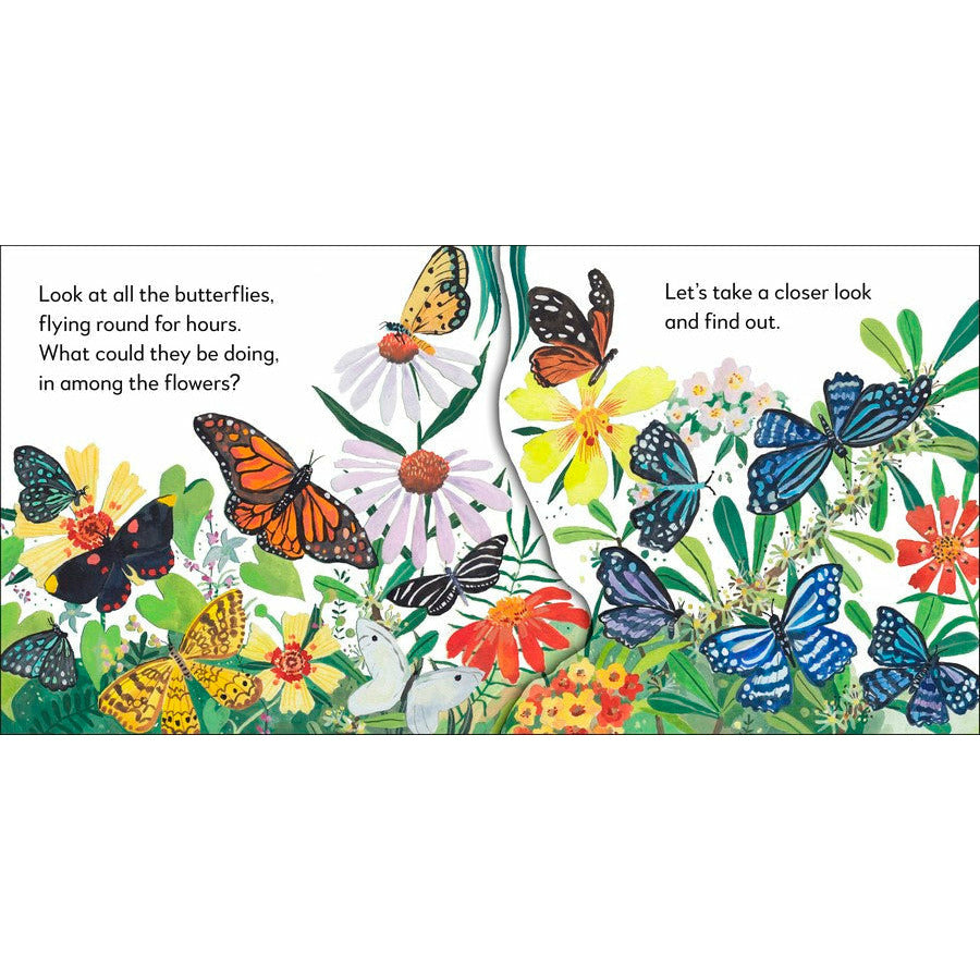 Pop-Up Peekaboo! Butterfly