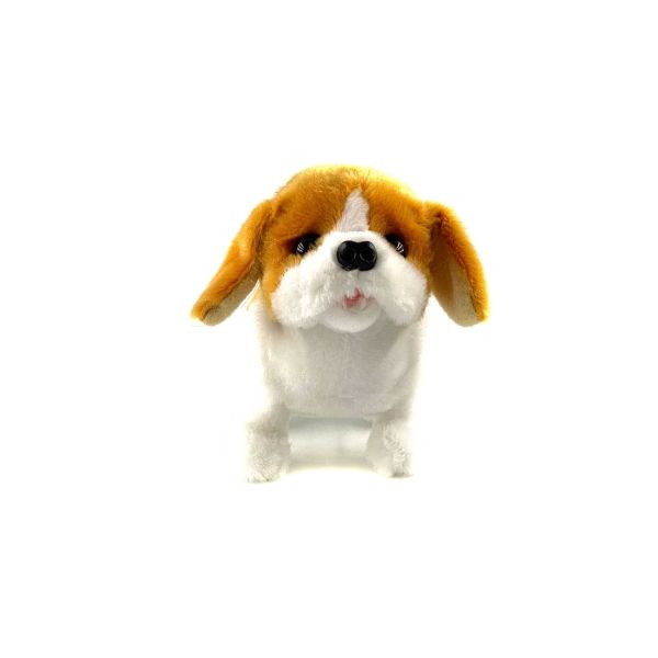 Pugs At Play Buddy The Beagle Dog Multicolor Age 2-3 Years