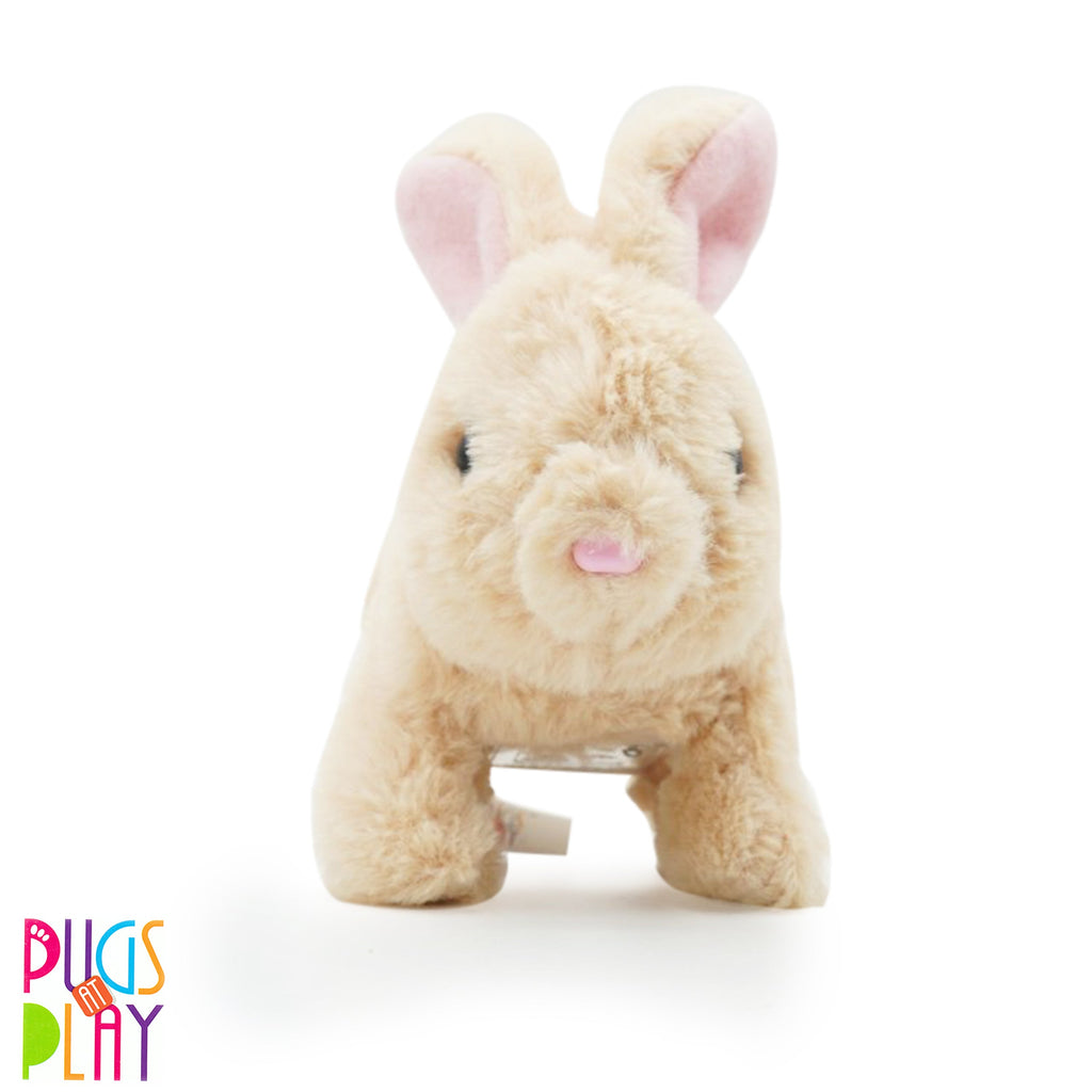 Pugs At Play Cookie Jumping Rabbit Multicolour Age 2-3 Years