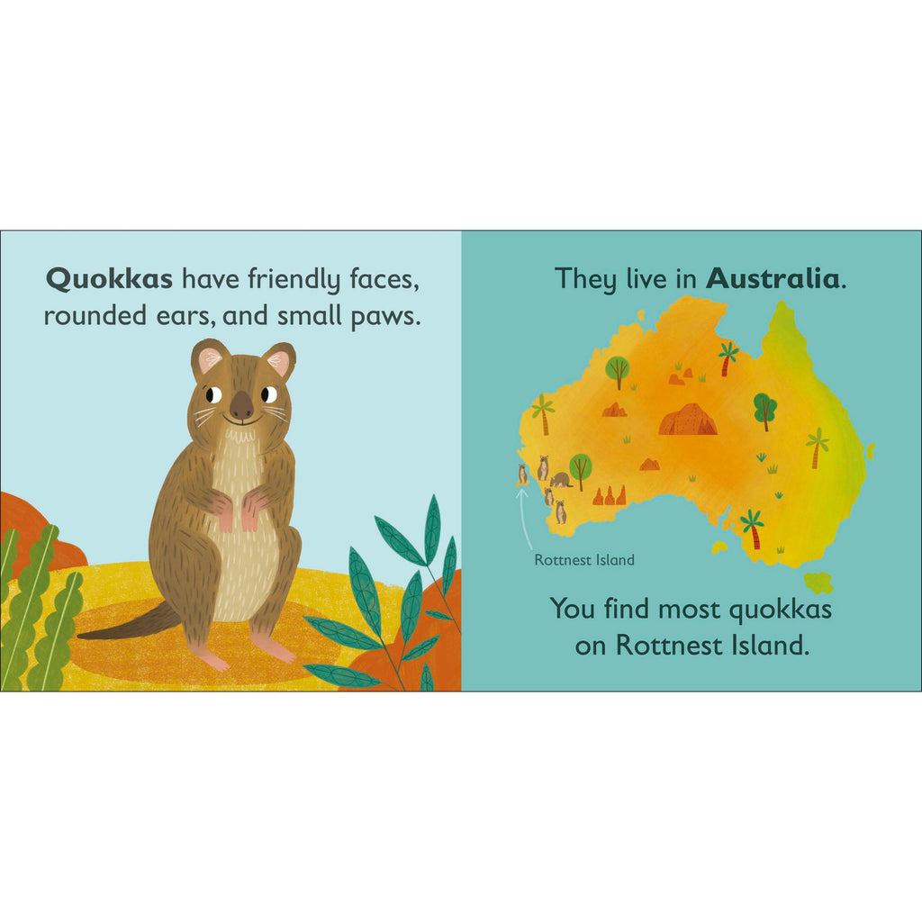 Q is for Quokka Board book
