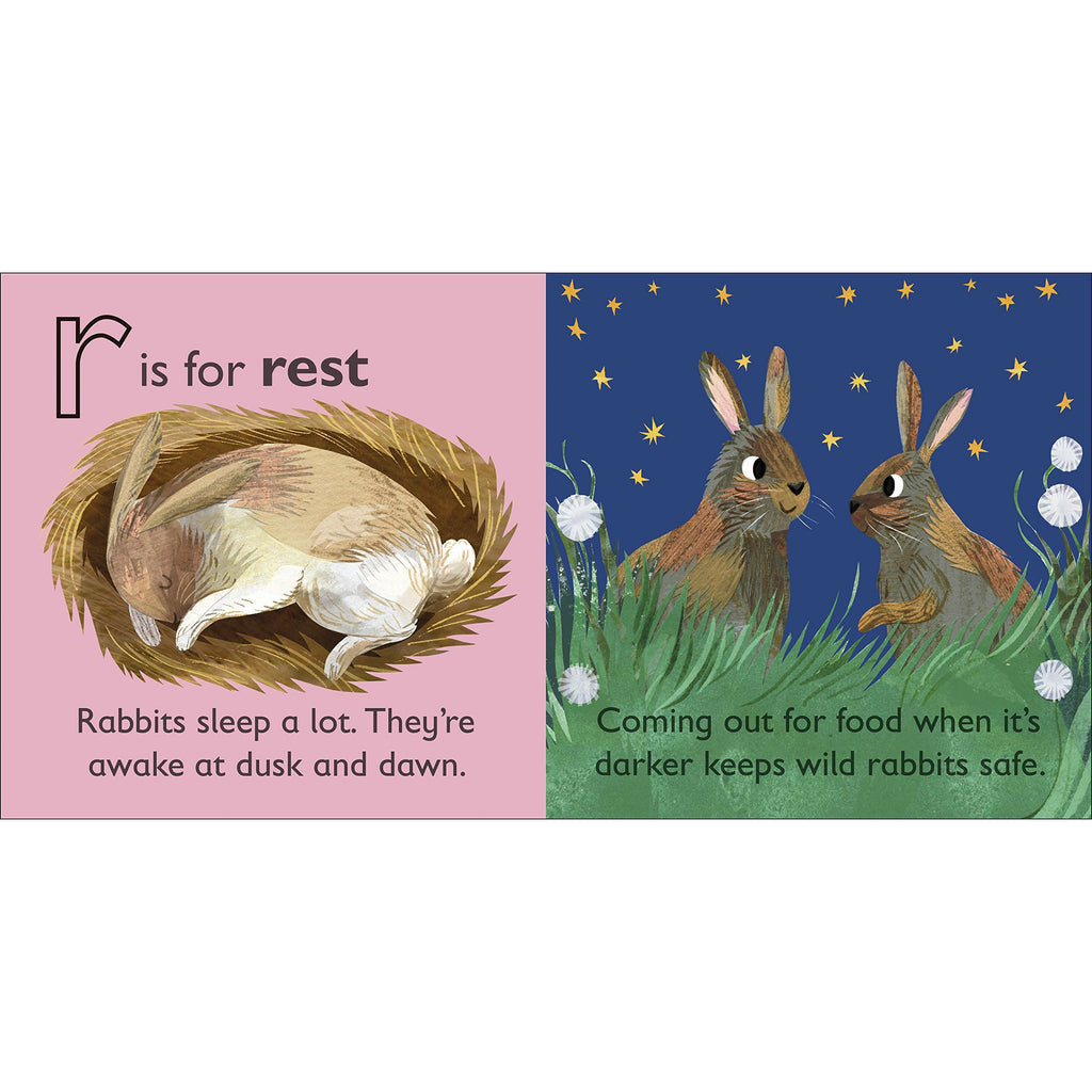 R is for Rabbit Board book