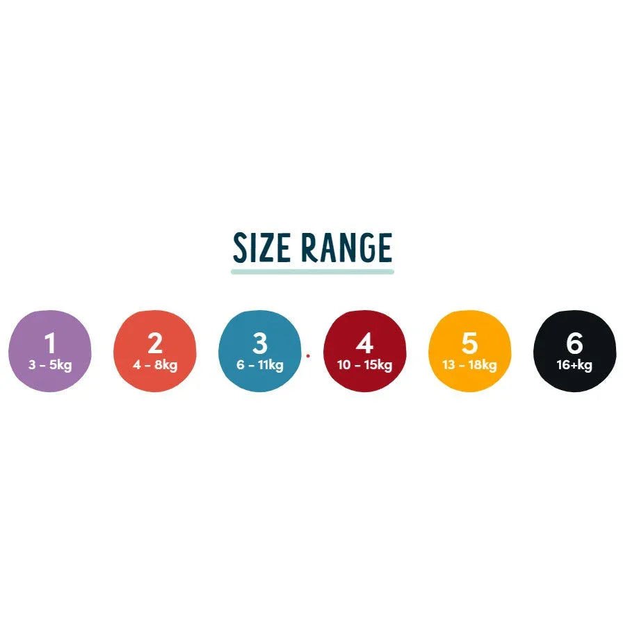 Rascal Size 6 Rascals Premium Adhesive Crawler Nappy Diapers Size 3 (6-11 Kgs) - 44 ...