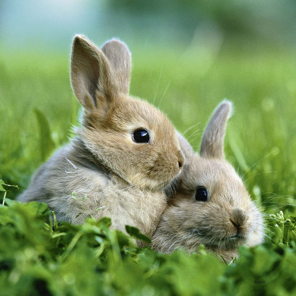 Ravensburger Cute Bunnies Puzzle 3 x 49 Pieces 5Y+